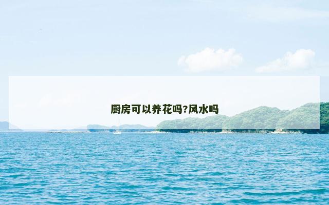 厨房可以养花吗?风水吗