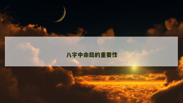 八字中命局的重要性