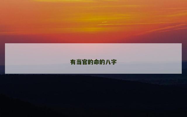 有当官的命的八字