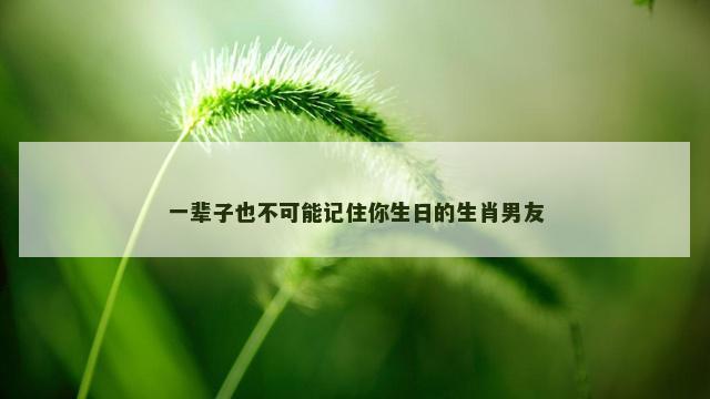 一辈子也不可能记住你生日的生肖男友