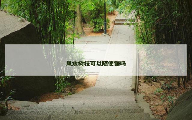 风水树枝可以随便锯吗