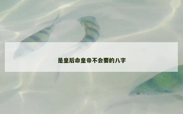 是皇后命皇帝不会要的八字