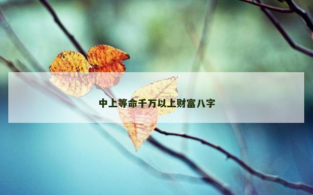 中上等命千万以上财富八字