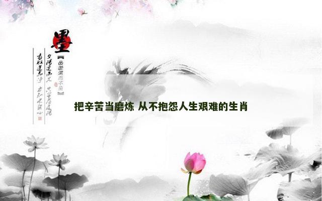 把辛苦当磨炼 从不抱怨人生艰难的生肖