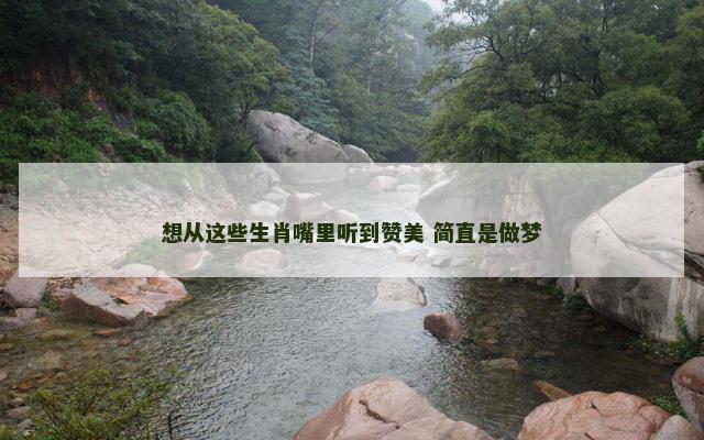 想从这些生肖嘴里听到赞美 简直是做梦