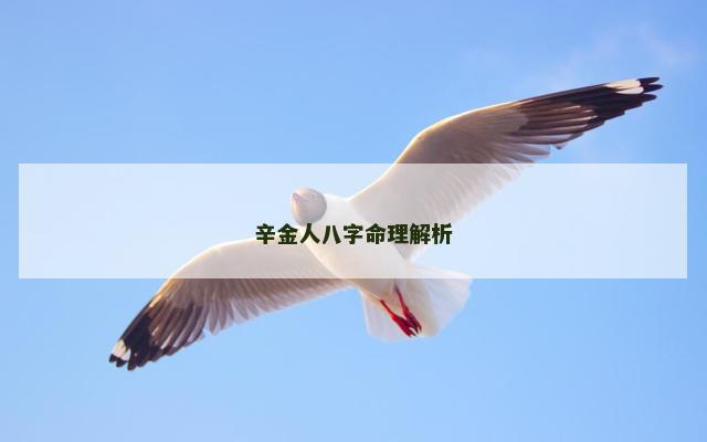 辛金人八字命理解析
