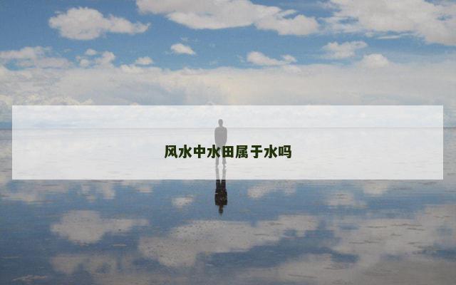 风水中水田属于水吗