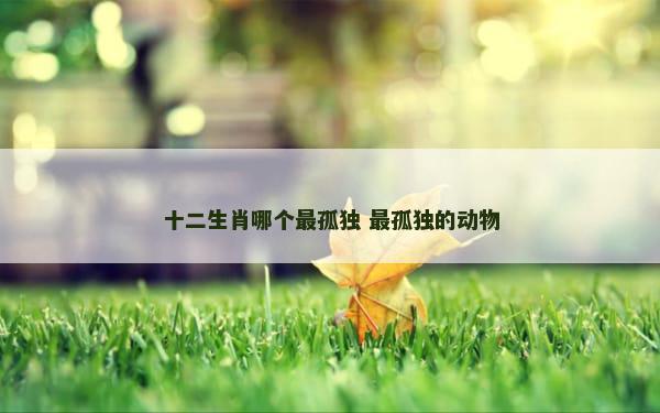 十二生肖哪个最孤独 最孤独的动物