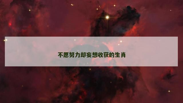 不愿努力却妄想收获的生肖