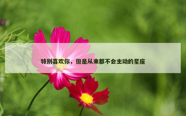 特别喜欢你，但是从来都不会主动的星座