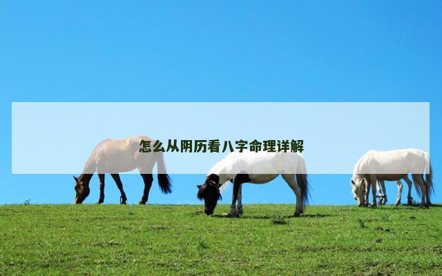 怎么从阴历看八字命理详解