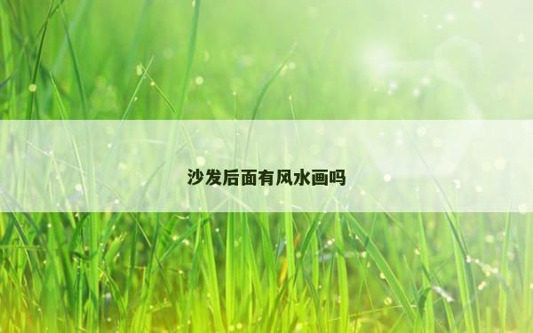 沙发后面有风水画吗