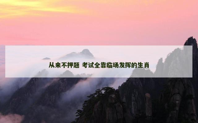 从来不押题 考试全靠临场发挥的生肖