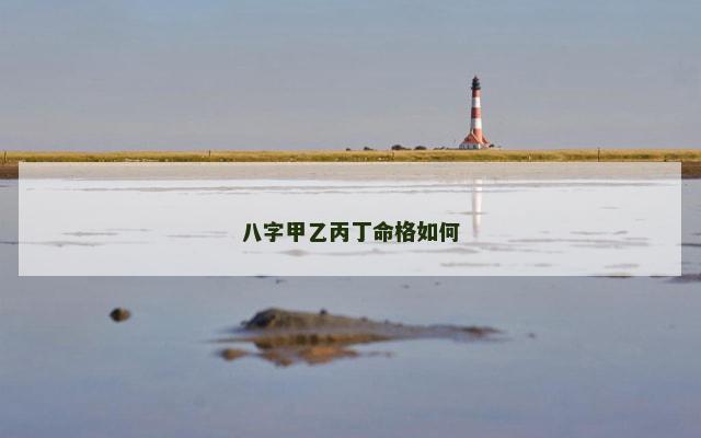 八字甲乙丙丁命格如何
