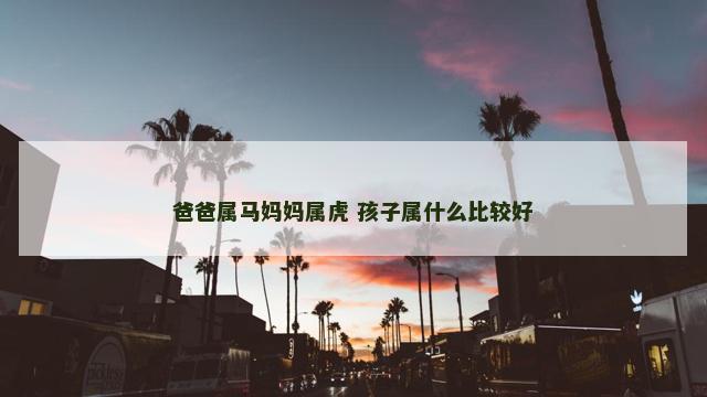 爸爸属马妈妈属虎 孩子属什么比较好