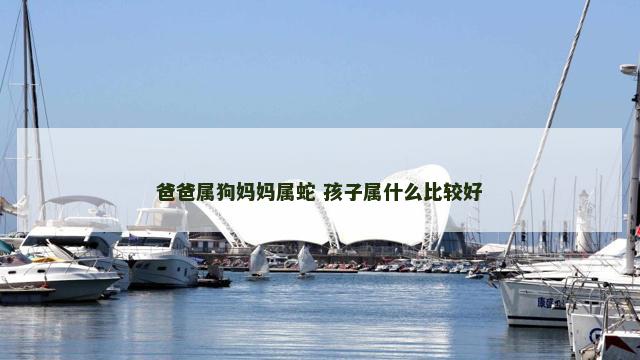 爸爸属狗妈妈属蛇 孩子属什么比较好