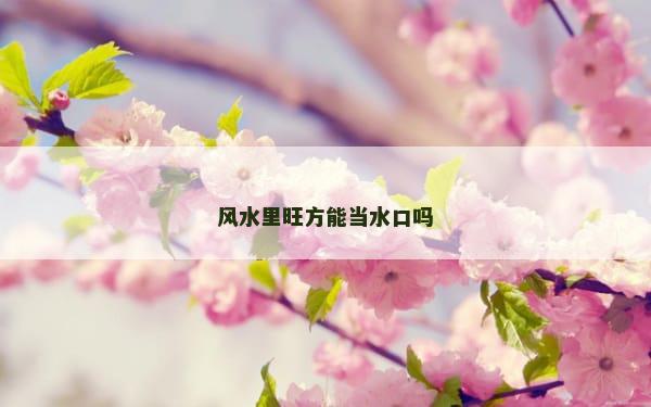 风水里旺方能当水口吗