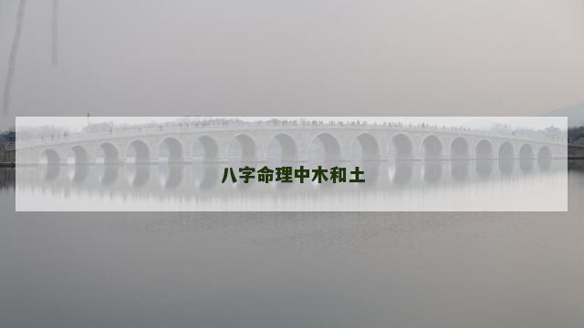 八字命理中木和土