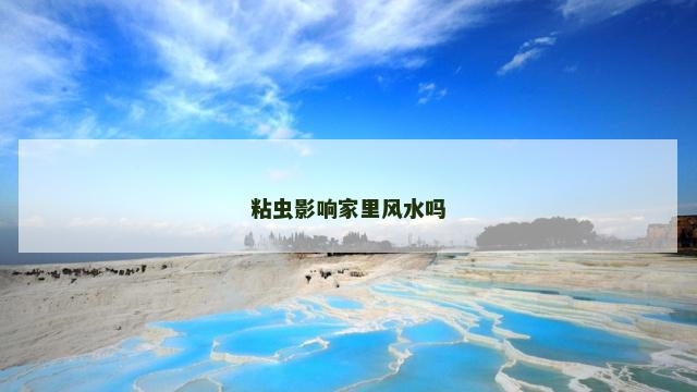 粘虫影响家里风水吗