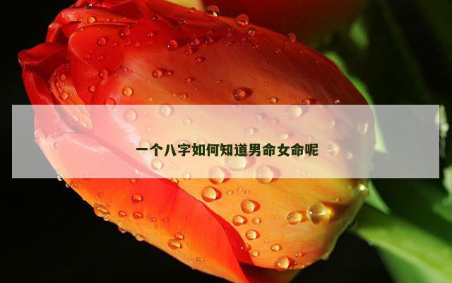 一个八字如何知道男命女命呢