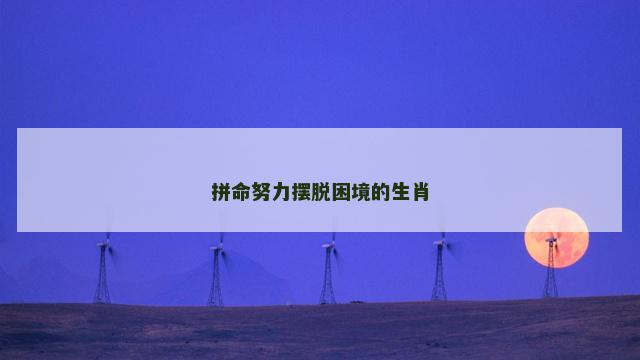 拼命努力摆脱困境的生肖