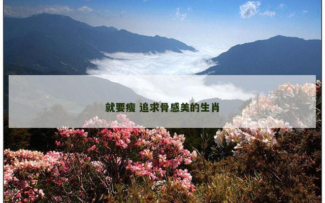 就要瘦 追求骨感美的生肖