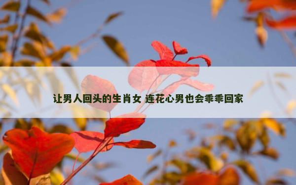 让男人回头的生肖女 连花心男也会乖乖回家