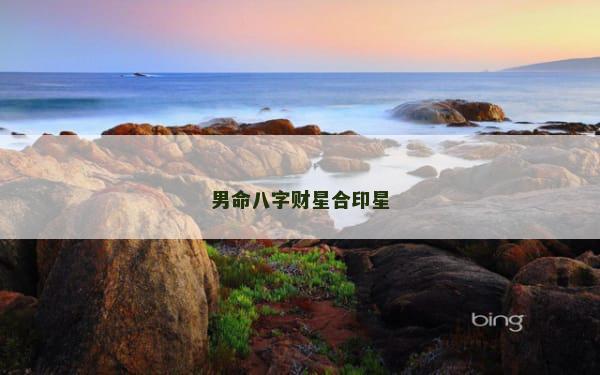 男命八字财星合印星