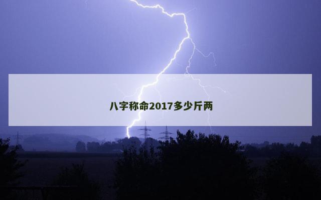 八字称命2017多少斤两