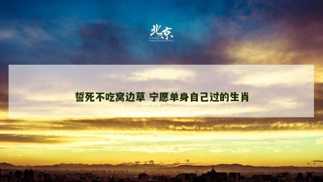 誓死不吃窝边草 宁愿单身自己过的生肖