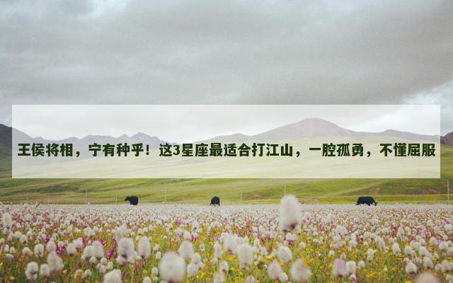 王侯将相，宁有种乎！这3星座最适合打江山，一腔孤勇，不懂屈服
