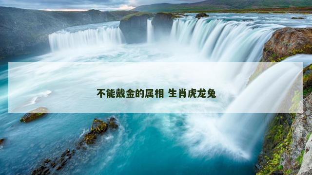 不能戴金的属相 生肖虎龙兔