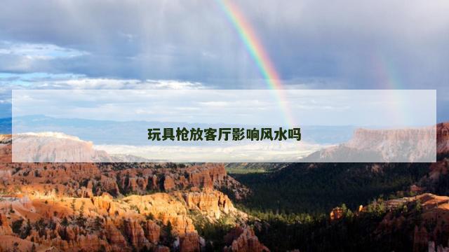 玩具枪放客厅影响风水吗