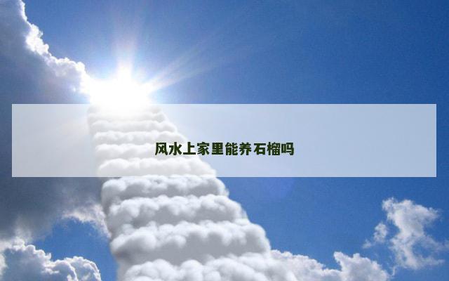 风水上家里能养石榴吗