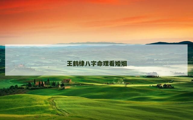 王鹤棣八字命理看婚姻