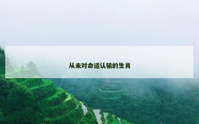 从未对命运认输的生肖
