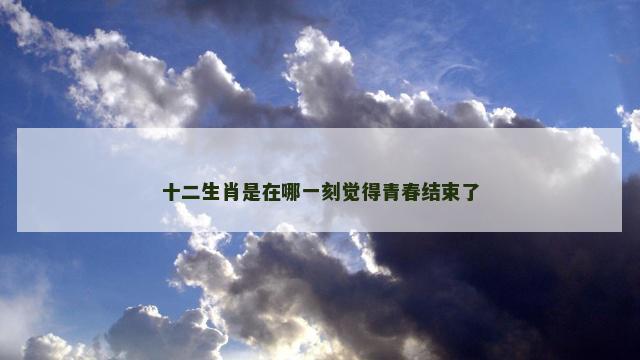 十二生肖是在哪一刻觉得青春结束了