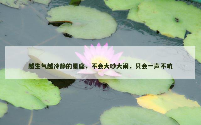 越生气越冷静的星座，不会大吵大闹，只会一声不吭