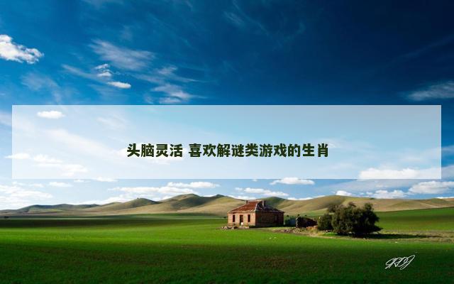 头脑灵活 喜欢解谜类游戏的生肖