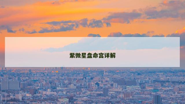 紫微星盘命宫详解