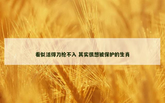 看似活得刀枪不入 其实很想被保护的生肖
