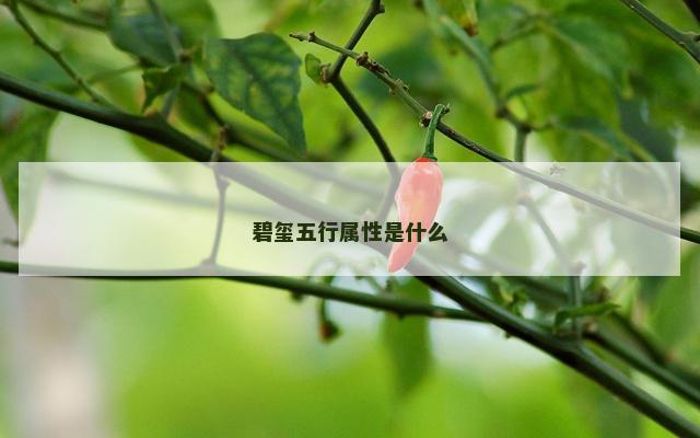 碧玺五行属性是什么