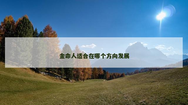 金命人适合在哪个方向发展