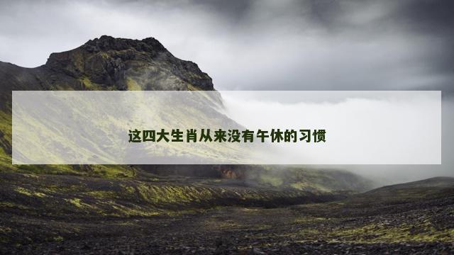 这四大生肖从来没有午休的习惯