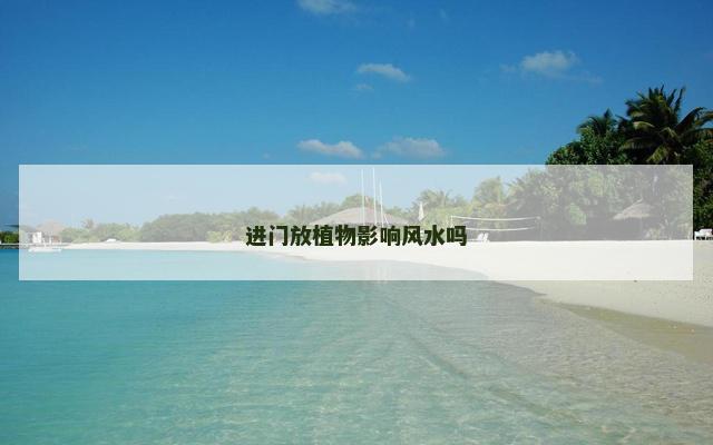 进门放植物影响风水吗