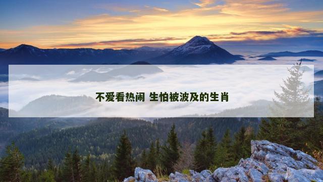 不爱看热闹 生怕被波及的生肖