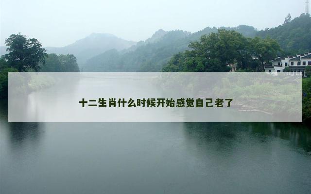 十二生肖什么时候开始感觉自己老了