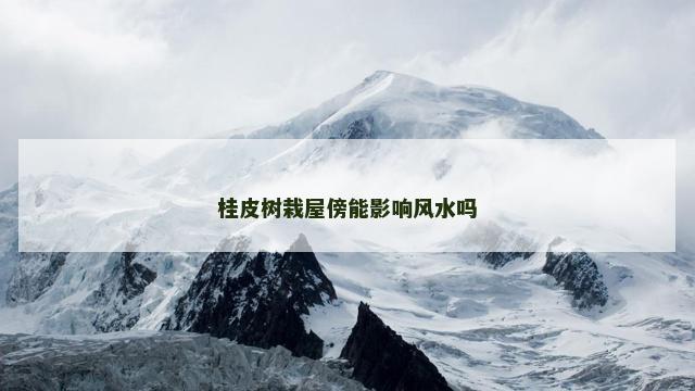 桂皮树栽屋傍能影响风水吗