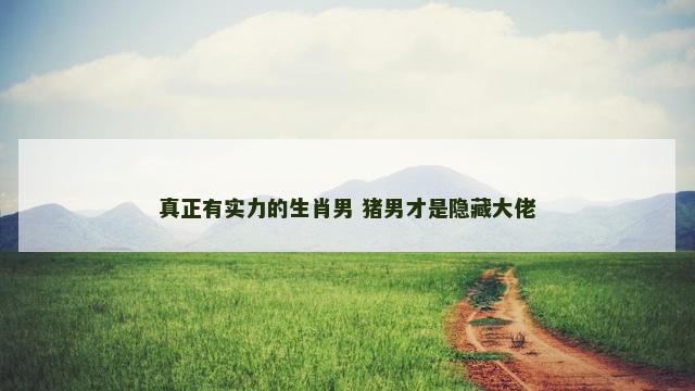 真正有实力的生肖男 猪男才是隐藏大佬