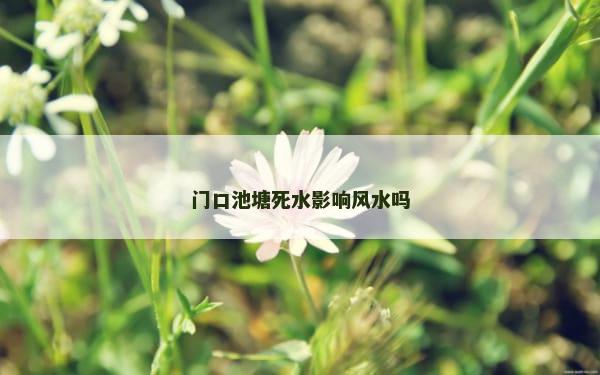 门口池塘死水影响风水吗